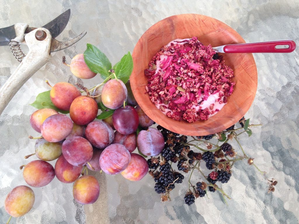 Pink Muesli with plums